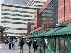 -上海市东方医院(总院)