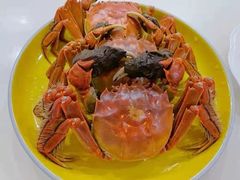 -阳澄湖大闸蟹·琼灵阁牌品牌连锁(吴中总店)