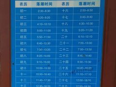 -奉贤海滩