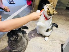 -小时光咖啡馆(开森度假森林店)