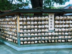 -台场海滨公园船码头