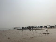 -日照灯塔风景区