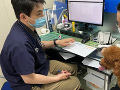 -申普宠物医院·心脏介入·心血管微创(总院)