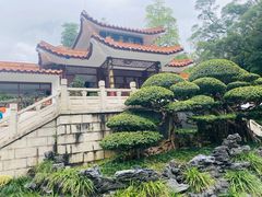 -深圳仙湖植物园