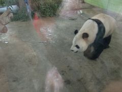 -石家庄市动物园