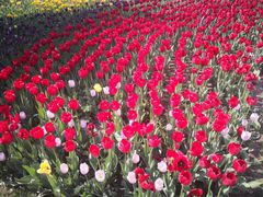 -长春公园(普阳街道)