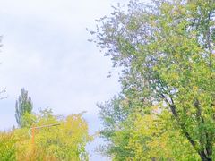 -乌素图国家森林公园