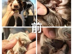 -听TA说宠咖·宠物生活馆(天韵水岸店)