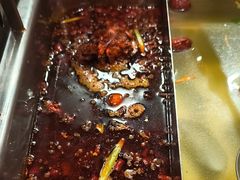 -大四喜·鲜牛肉火锅(洛阳大学城店)