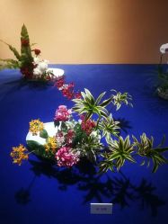 -今日陶艺(富力广场店)