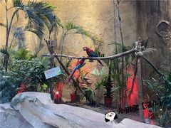 -杭州开元森泊度假乐园