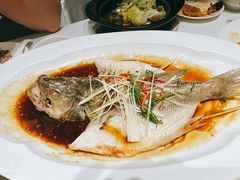 -眉州东坡(国贸店)
