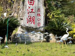 -广州白江湖森林公园