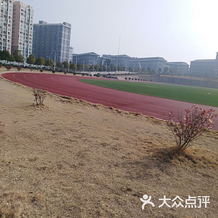 红安国际育才实验学校