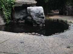 -紫竹院公园冰场