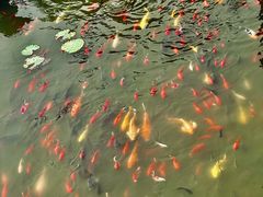 -廊坊文化艺术中心