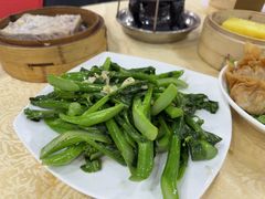 -宝塘茶楼