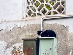 -西园戒幢律寺