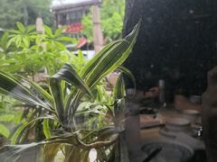 -老友王·南宁特色菜(金汇如意坊店)