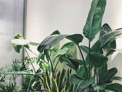 -喜茶(佛山岭南站店)