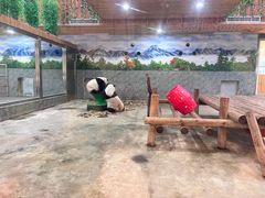 -西安秦岭野生动物园