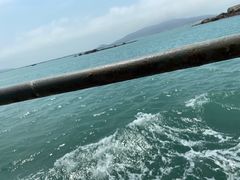 -坛南湾阿强农家乐.海鲜大排档老字号(福州地标美食店)