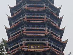 -铁山坪森林公园