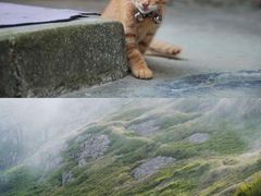 -东极岛景区