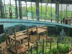 -大连森林动物园