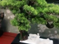 -水尚丽都
