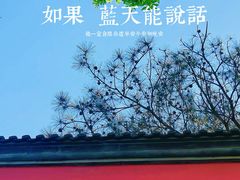 -天津大悲禅院