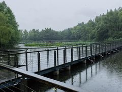 -昆山城市生态森林公园