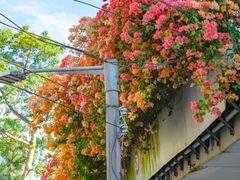 -天河客运站(地铁站)