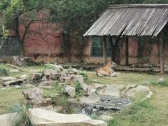 -无锡动物园·太湖欢乐园