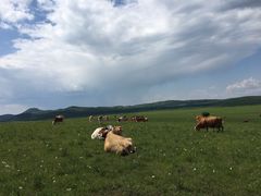 -塞罕坝国家级自然保护区