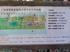 -上海海湾国家森林公园