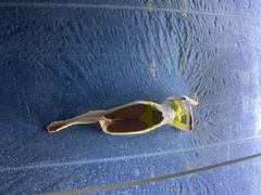 -三亚千古情景区游客中心-接待中心