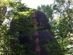 -汤旺河林海奇石景区