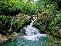 -青城山