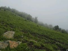 -北京灵山风景区