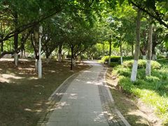 -太子山公园(园东路)