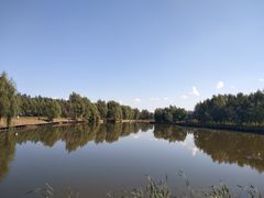 -白渔泡湿地公园