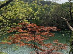 -白马涧龙池景区
