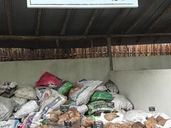 -大象粑粑造纸公园