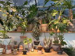 -自由生长植物工作室(深港花卉中心店)