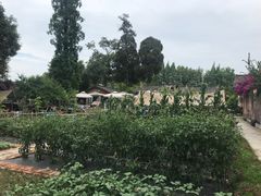 -金谷域澳洲庄园