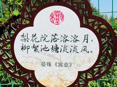 -树山生态村