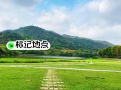 -风云岭森林公园