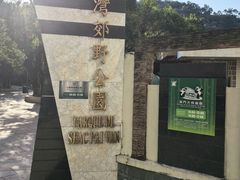 -石排湾郊野公园