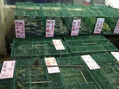 -荔城生鲜盛宴(番禺旗舰店)